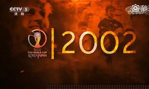 2002世界杯纪录片中文,2002世界杯纪录片中文在线观看